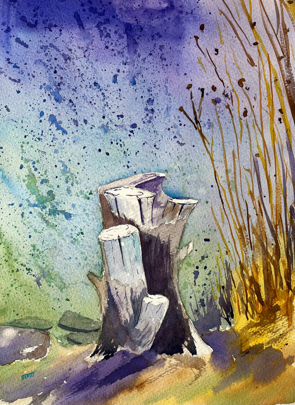 Happy Stump