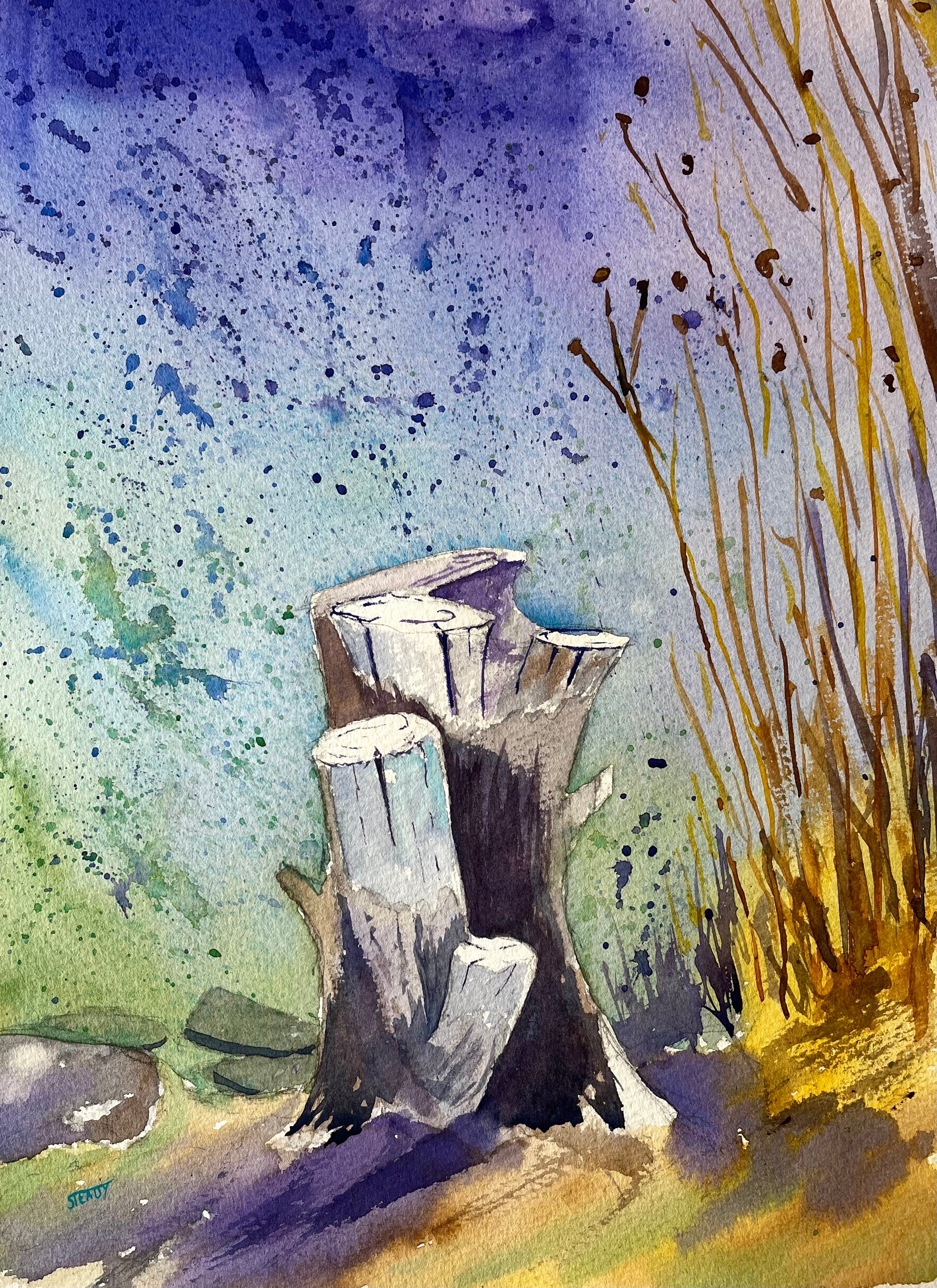 Happy Stump