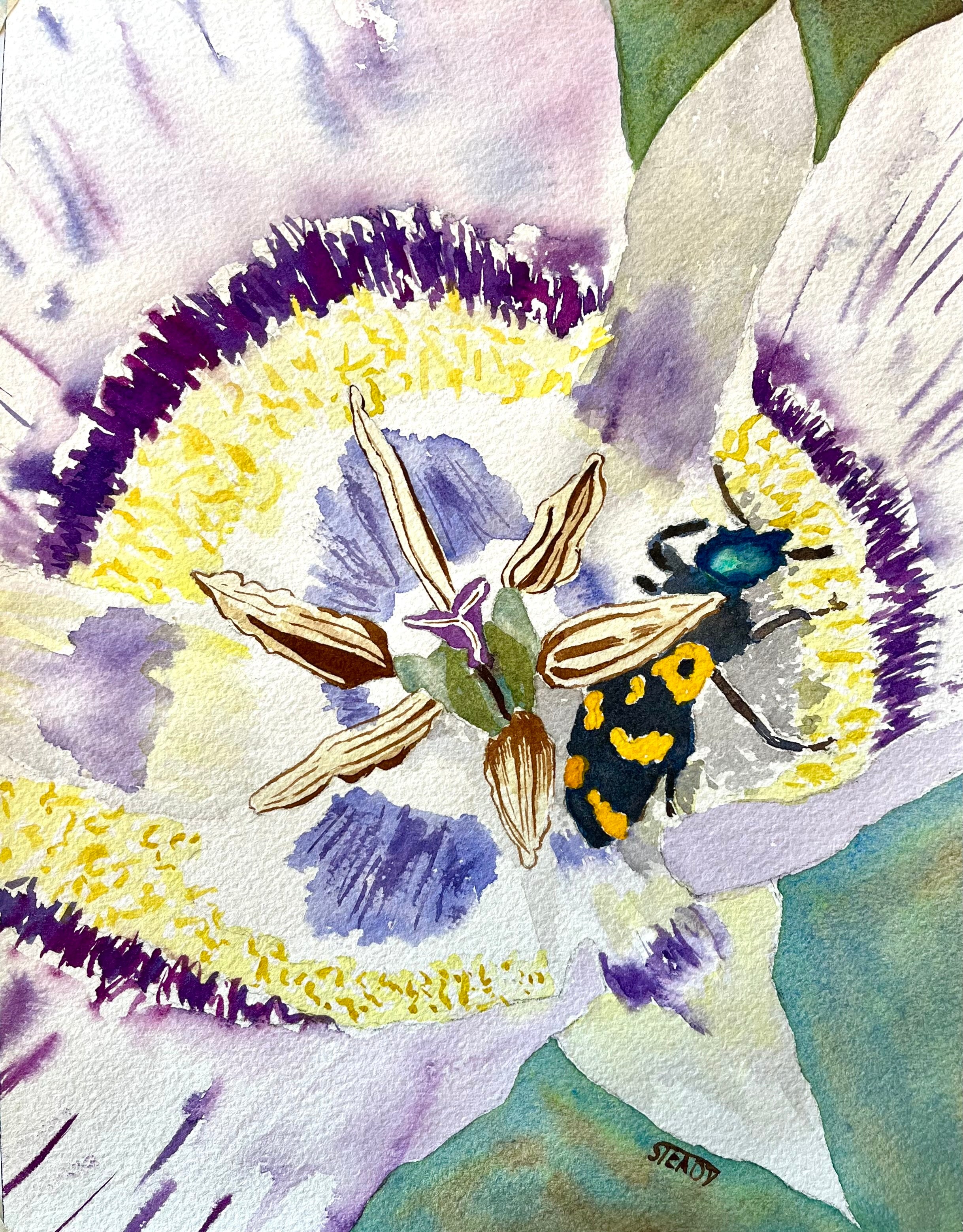 Mariposa Lily Nap